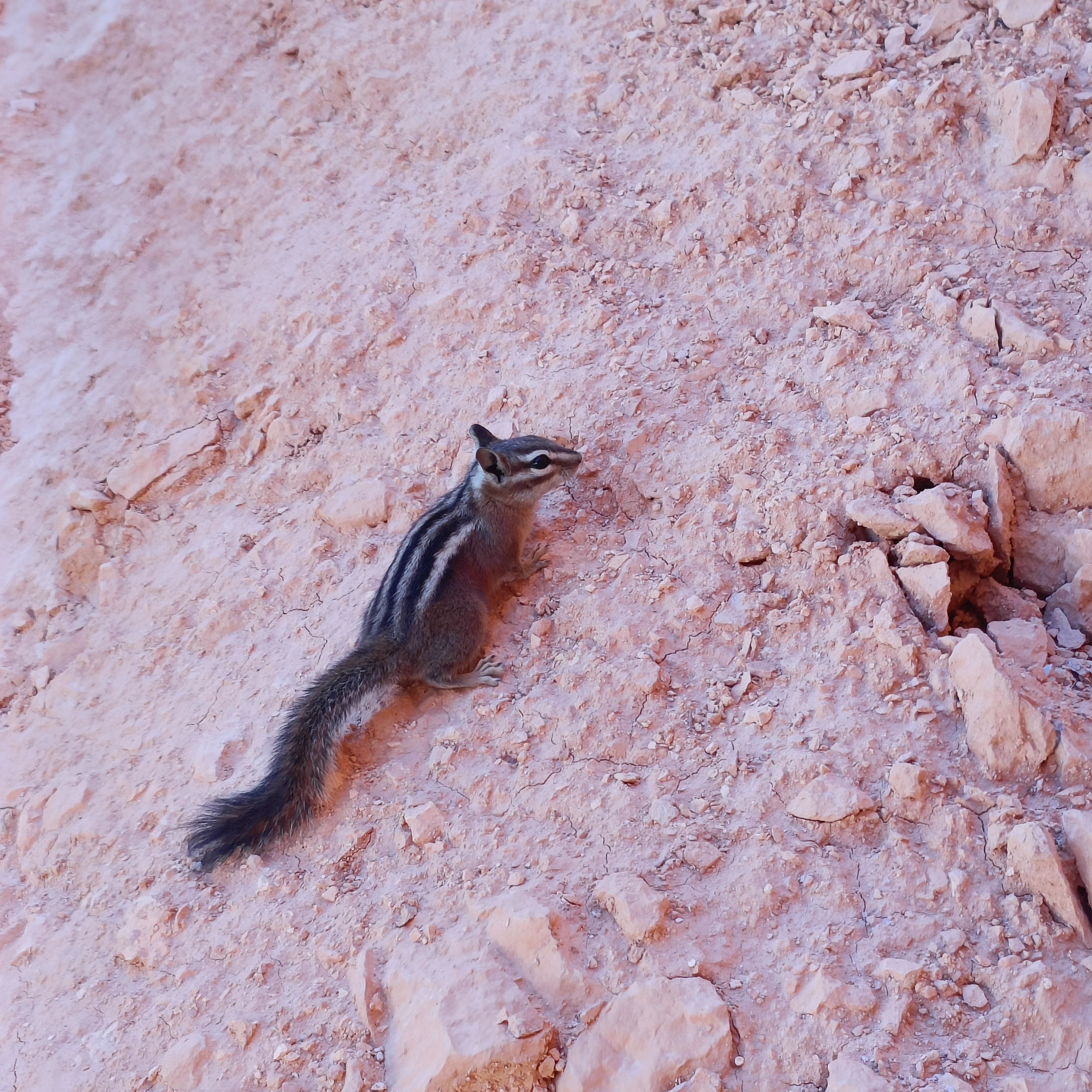 Brice Canyon